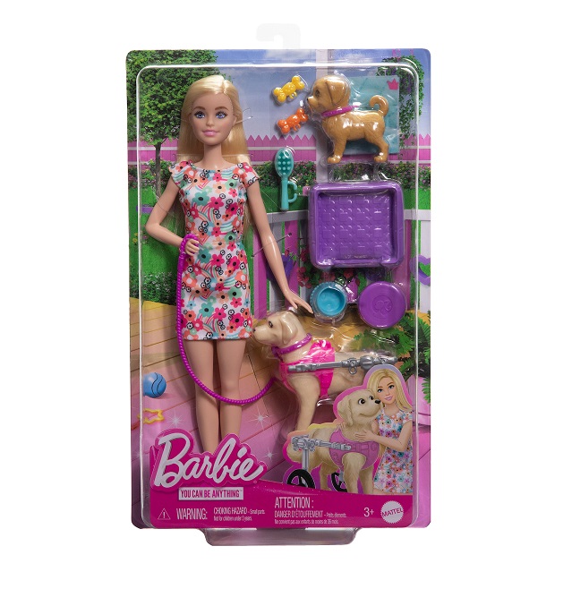 Barbie You Can Be Anything Κούκλα Puppies and Pet Wheelchair HTK37