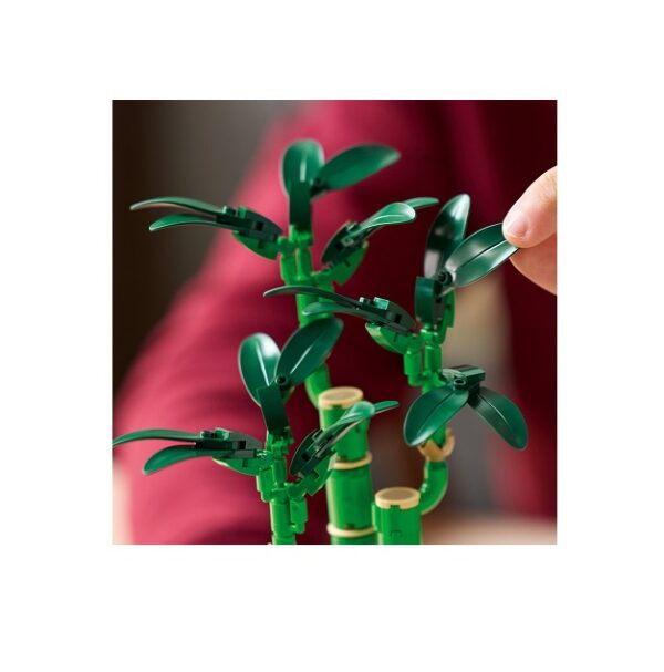 LEGO Botanical Lucky Bamboo (10344) - Image 2