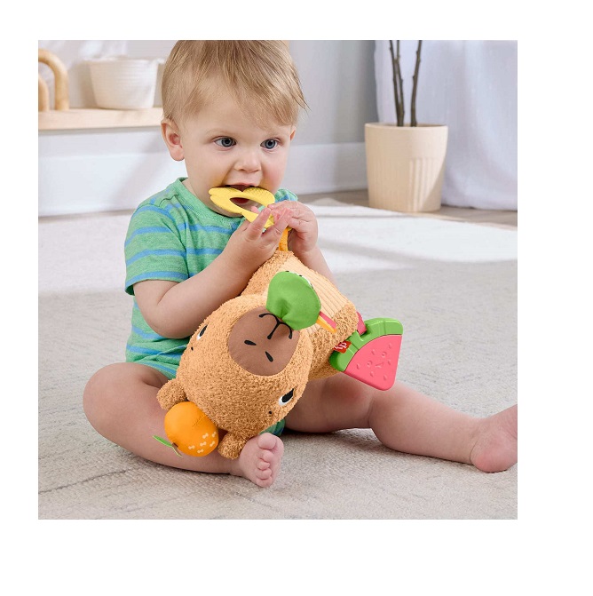 Fisher-Price Μαλακό Καπιμπάρα Δραστηριοτήτων (HYR54) - Image 4