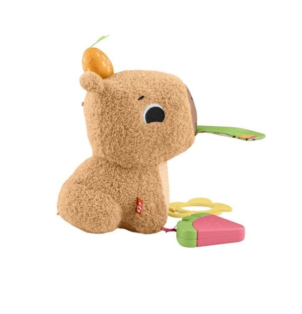 Fisher-Price Μαλακό Καπιμπάρα Δραστηριοτήτων (HYR54) - Image 3