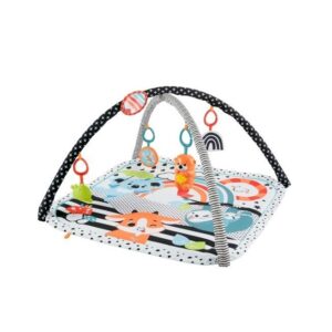 Mattel Γυμναστήριο Δραστηριοτήτων με Μουσική Πολύχρωμο για Νεογέννητα (MxΠ) 46x76cm JMN72