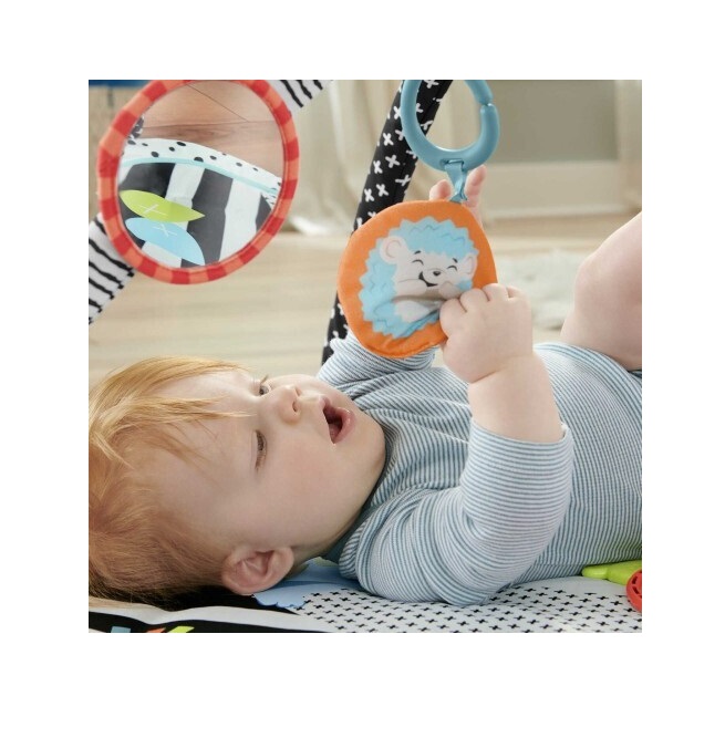 Mattel Γυμναστήριο Δραστηριοτήτων με Μουσική Πολύχρωμο για Νεογέννητα (MxΠ) 46x76cm JMN72 - Image 3